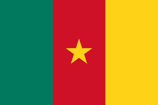 Flag of Cameroon — green red yellow vertical tricolor with yellow star